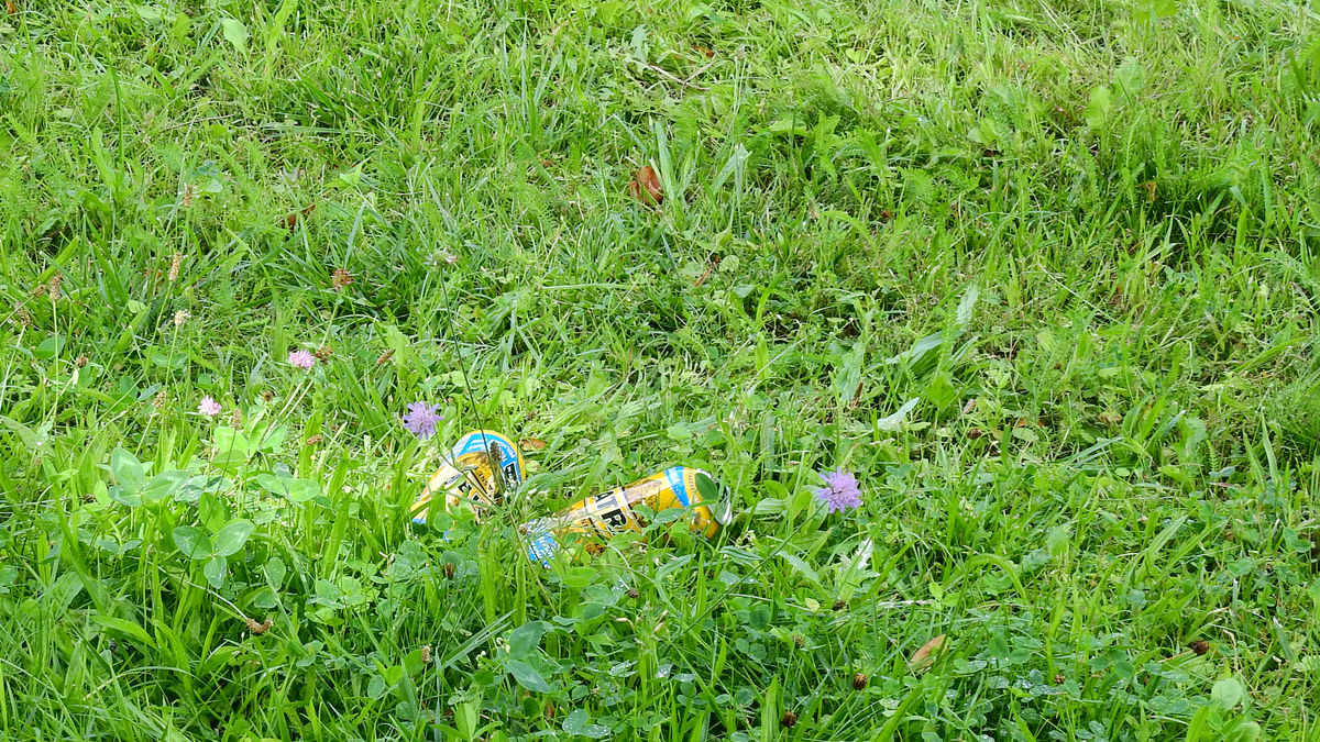 W pobliżu miejsca zdarzenia w trawie leżały puszki po piwie