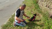 Policjant uratował potrąconego psa na drodze koło Kozłowa