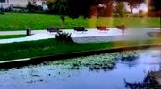 Uratowała koty wrzucone do rzeki [VIDEO]