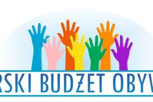 Lidzbarski Budżet Obywatelski: nie zwlekaj, złóż projekt!