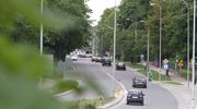 Czy Olsztyn da drzewom prawa?