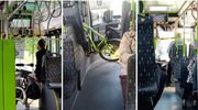 ZDZiT w Olsztynie odpowiada: w przedziale dla kierowcy powinien znajdować się tylko kierowca