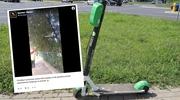 Hulajnoga na drzewie w Olsztynie