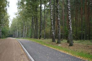 Brakuje tylko MOR-ów