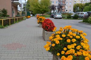 Mieszkańcy bloku na Nagórkach w Olsztynie tworzą wspólnotą mieszkaniową i nie chcą mieć nic wspólnego z SM 