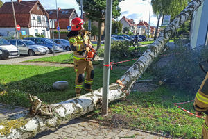 Drzewo spadło na budynek poradni przy ul. Wajdy