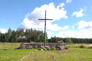Nielegalna wycinka na cmentarzu w Nowej Wsi Ełckiej: parafia nie zapłaci 2 milionów złotych