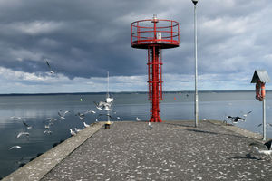 Kto przebuduje port rybacki we Fromborku?