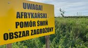 Kolejne dziki z ASF na Warmii i Mazurach