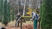 Więźniowie pomagają na cmentarzu