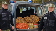 Strażnicy niosą pomoc małżeństwu z puszczy