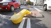 Olsztyniacy koszą żółte słupki