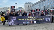 Co dalej z piątką dla zwierząt?