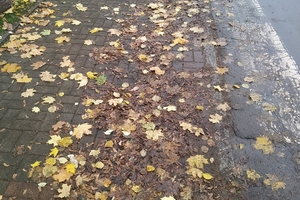 Na al. Przyjaciół w Olsztynie liście zalegały przy przejściu dla pieszych. Po naszym pytaniu, dlaczego nikt ich nie sprzątnął, pojawił się człowiek z miotłą