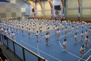 Oleccy karatecy na seminarium 