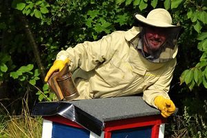 Jerzy Stanecki: O pszczoły trzeba dbać
