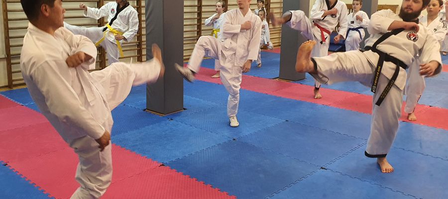 Podczas seminarium mistrz Choi Ki Won płynne ruchy ramion łączył z rytmicznym krokiem i dynamicznymi kopnięciami na wysokość głowy i tułowia