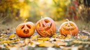 Co zrobić z dynią po Halloween?