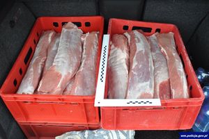 Mieszkańcy gminy Nidzica ukradli prawie 2,5 tony mięsa z ubojni, w której pracowali