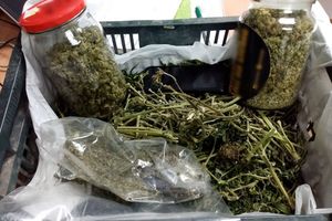 Marihuana w Iławie, amfetamina w Suszu