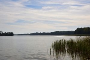 Co się dzieje z jeziorem Rydzówka?