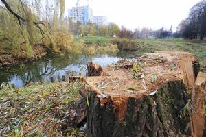 Wichura zniszczyła park Kusocińskiego w Olsztynie. Jak wygląda teraz?