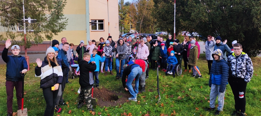 Drzewa miododajne posadzono m.in. na terenie szkoły w Kisielicach