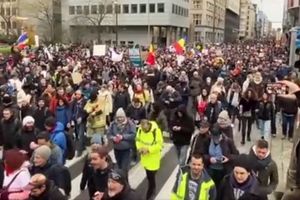 Protesty w Belgii przeciw obostrzeniom. Policja użyła gazu i armatek wodnych