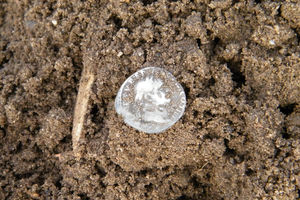 Kolejne odkrycie w Półwsi. Najstarsza moneta pochodzi z lat 72-73 naszej ery! 