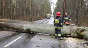 Silny wiatr w regionie. Nie obyło się bez strat 