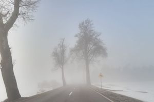 Gęsta mgła na drogach  ogranicza widoczność