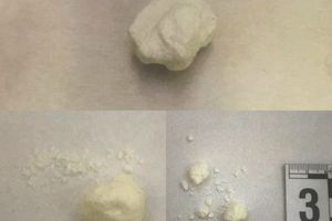 W lodówce u 40-latka policjanci znaleźli amfetaminę