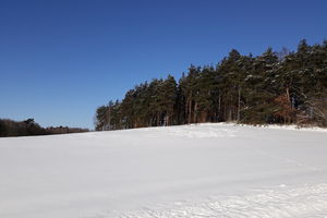 Prenumerata za zdjęcie