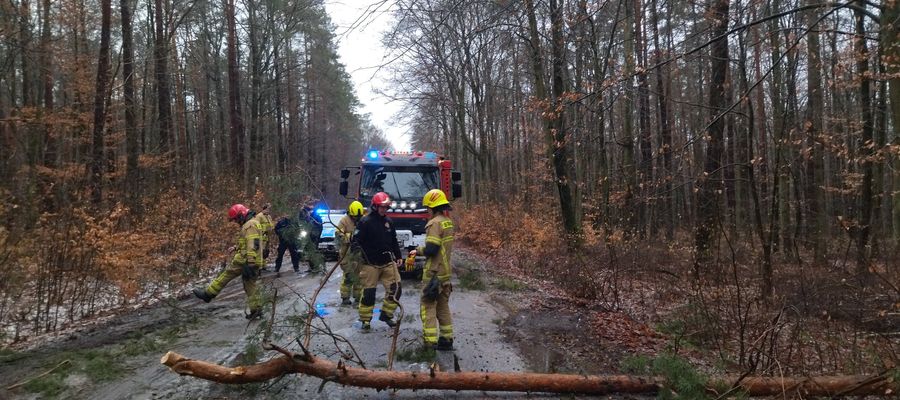 W gminie Susz strażacy - ochotnicy usuwali drzewa m.in w miejscowościach: Kamieniec, Emilianowo, Bałoszyce Małe i Zieleń