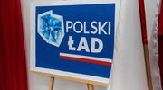 Przywileje dla wybranych w Polskim Ładzie