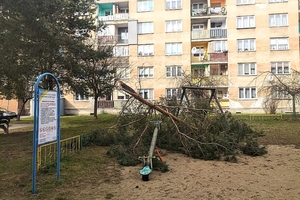 Orkan Eunice mocno namieszał w Ełku i regionie