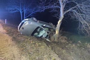Samochód wypadł z jezdni i uderzył w drzewo