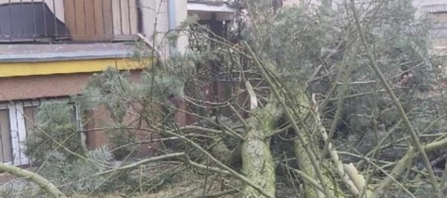 Ulica Królowej Jadwigi w Iławie, okolice "Weterana". Drzewo prawie przewróciło się na blok