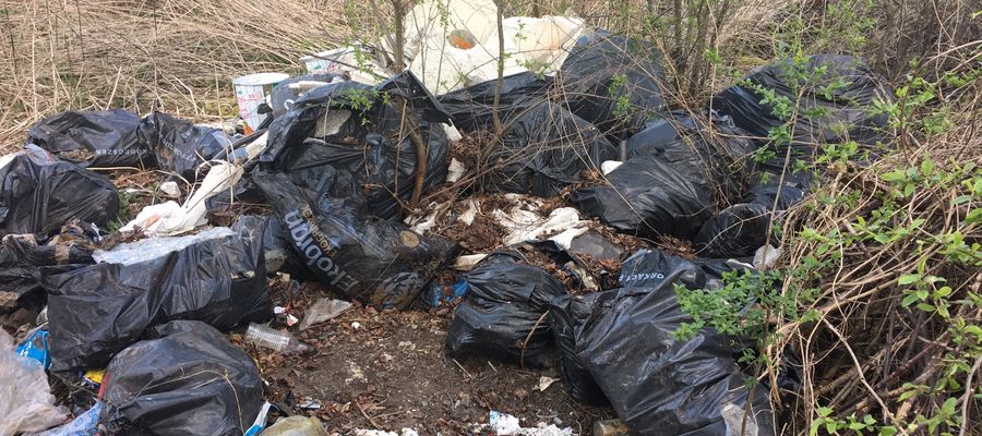 Podrzucone śmieci przy ulicy Dojazdowej