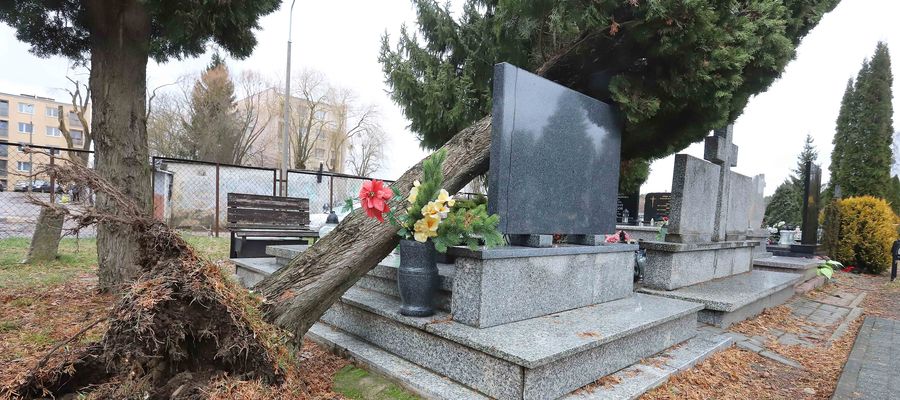 Wichura powaliła drzewa na cmentarzu w Olsztynie