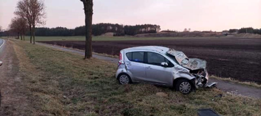 Suzuki w rowie