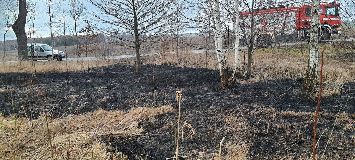 Pożar traw między miejscowościami Siedliska - Kruklin 