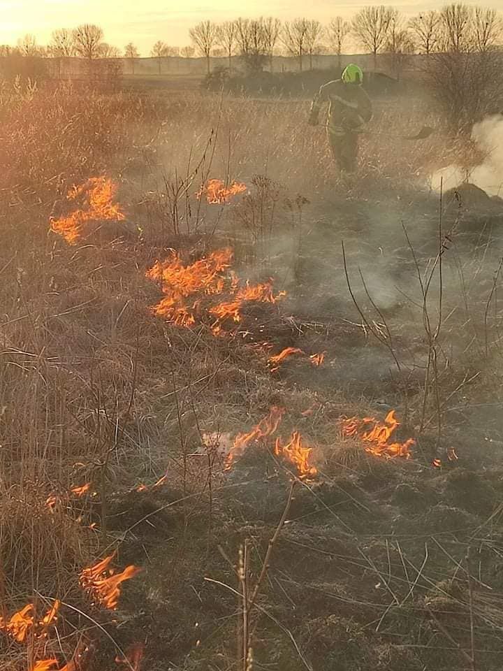 Pożar traw w okolicy miejscowości Kruklin