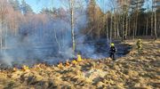 Ogromna fala pożarów suchych traw w powiecie olsztyńskim. Strażacy mają ręce pełne roboty