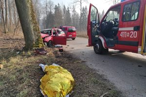 Szalmia: Kierowca uderzył w drzewo. Nie przeżył wypadku