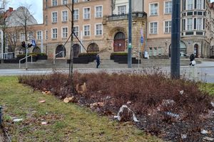 Wiosna odsłoniła śmieci w całym Olsztynie. Kiedy zostaną posprzątane?