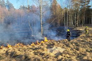 Ogromna fala pożarów suchych traw w powiecie olsztyńskim. Strażacy mają ręce pełne roboty