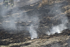 Do 16 marca 2021 odnotowano 19 przypadków wypalania traw