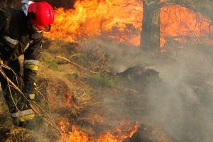 Strażacy apelują, by nie wypalać traw. Już 52 takie pożary w woj. warmińsko-mazurskim