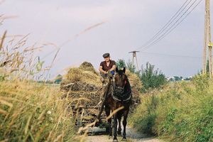 Poszukiwane zdjęcia z życia codziennego dawnej wsi lubawskiej